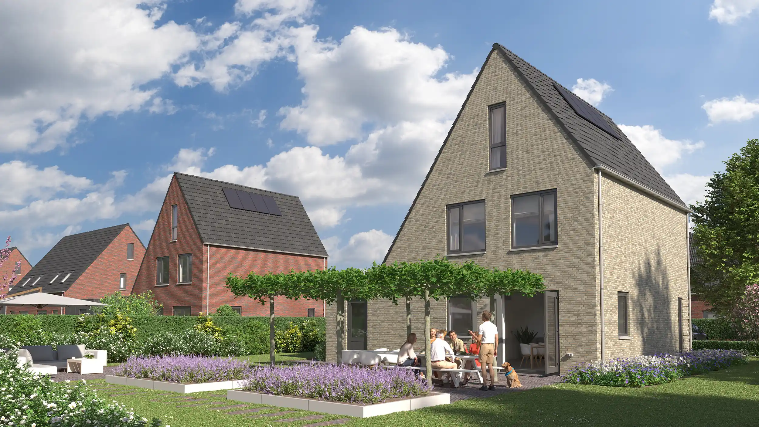 Biezenweie C1 tuin
